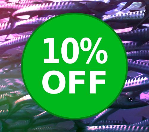 10% OFF ALL ORDERS!!!