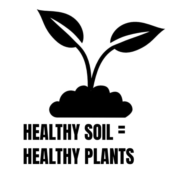 Healthy soil = Healthy Plants : ) 🍀