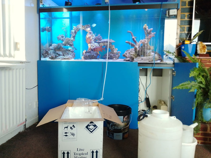 Acclimating Fish & Corals - Aquarium Guide How To