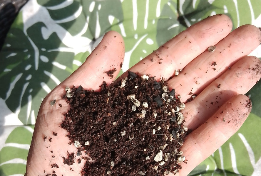 DO THE WORM! - 2 new fertilisers / soil improvers for potted Plants - #Worm Castings