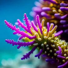 Load image into Gallery viewer, Coral Artwork - purple WYSIWYG UK
