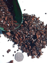 Load image into Gallery viewer, Closeup best orchid potting compost bark by Terra Core
