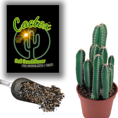 Terra Core Ccatex - indoor gardening soil grit for succulents/alpnines.