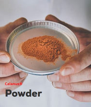 Load image into Gallery viewer, Calanus Copepod Powder
