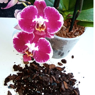 Professional Orchid Potting Mixture.