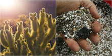 Load image into Gallery viewer, Terra Core Cactus Additive for making desert soil.
